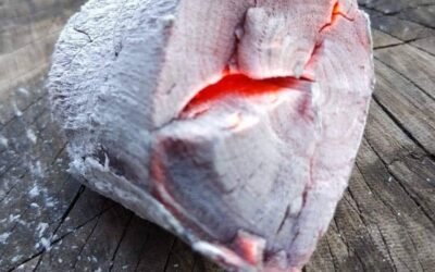 فحم طلح سوداني