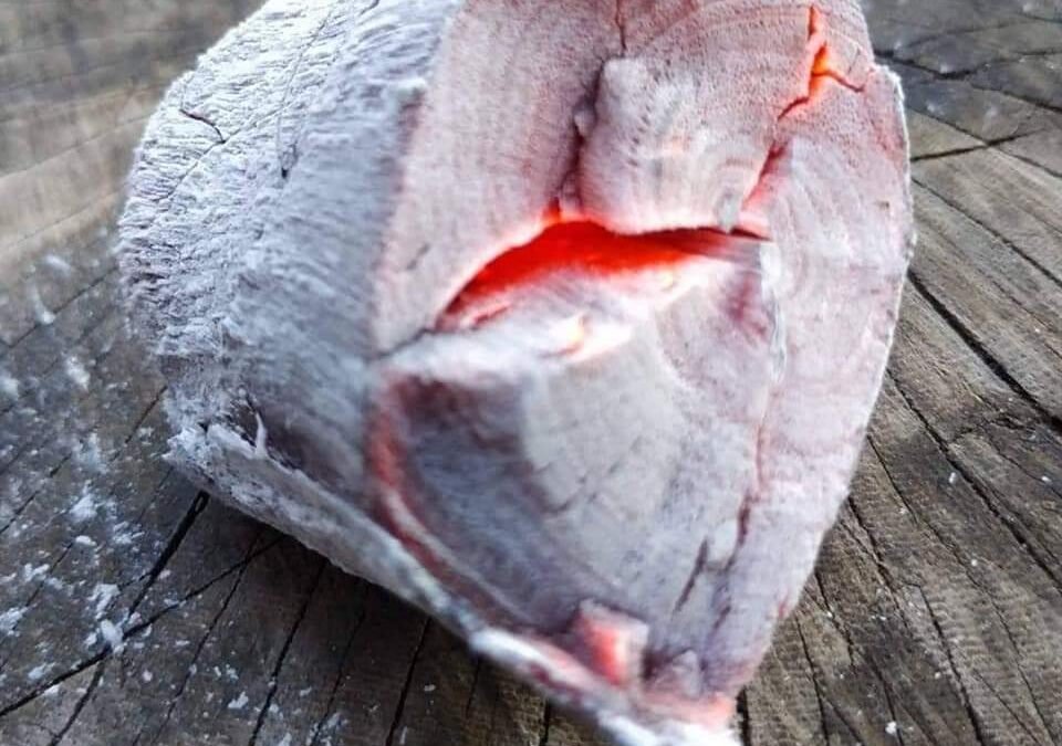 فحم طلح سوداني