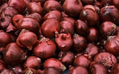 استيراد البصل من مصر